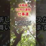 【水瓶座】2025年10月「みずがめ座の運勢」#水瓶座 #みずがめ座 #水瓶座の運勢