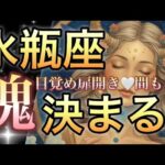 水瓶座🪐人生開花おめでとう㊗️ハートの扉開く‼️願いが叶っていく至福の時キター🎆【個人鑑定級】先読み深掘りリーディング#ハイヤーセルフ#潜在意識#水瓶座