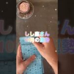 【獅子座】2025年10月♌️しし座さんの運勢️🔮#獅子座 #しし座 #占い