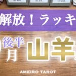 山羊座♑️９月後半✨重荷、修行、苦労から解放🕊️✨ラッキー７連発のシンクロ回‼️