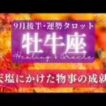 【牡牛座】9月後半／幸せの実がなる！喜びはひとしお！自分のカップに注ぐ程に🌝✨🕊【タロット】【運勢】【占い】【おうし座】