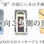 【山羊座♑︎】YESでもNOでも ここからのあなたへ。３択 「扉の向こう側のあなたからのメッセージ」