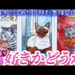 【ガチ透視】好きって思ってくれてるんかな…？あの人の気持ち💓本音❤️あなたへの好意についてお伝えします💌個人鑑定級✨タロット占い￼