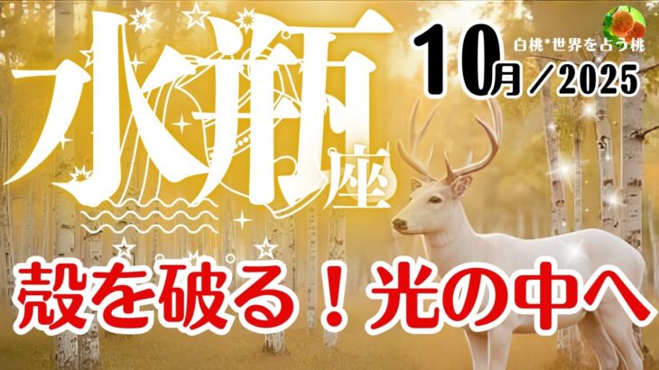 水瓶座♒️2025年10月☆殻を破る！光の中へ