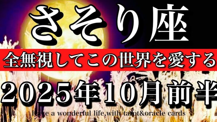 さそり座♏️10月前半全体運タロット★全無視でこの世界を味わう！Scorpio tarot reading