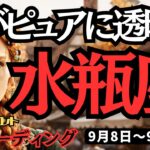 【水瓶座】♒️2025年9月8日の週♒️心からピュアに透明になる。厳しすぎる自分を卒業して、直感に生きる時。みずがめ座。タロット占い