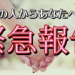 【目に止まったらタイミング👀】お相手からあなたへの緊急報告💓恋愛タロット占い