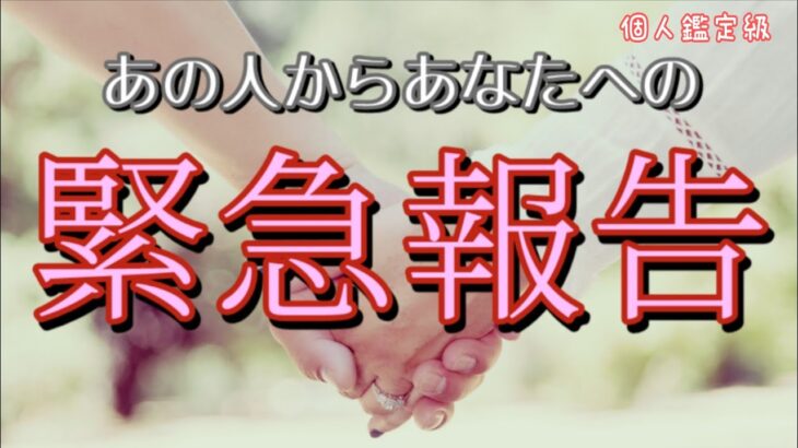 【目に止まったらタイミング👀】お相手からあなたへの緊急報告💓恋愛タロット占い