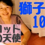 獅子座♌10月　揺らがずドーンと余裕だ‼️#獅子座　#10月　#タロット　#猫