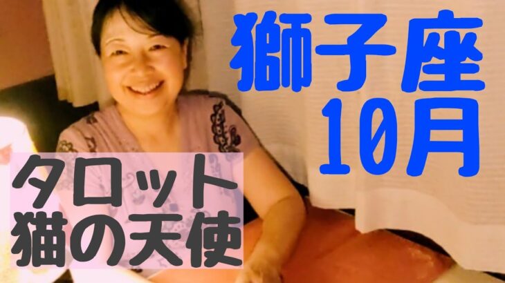獅子座♌10月　揺らがずドーンと余裕だ‼️#獅子座　#10月　#タロット　#猫