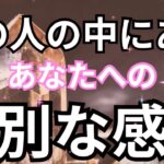 【リアルすぎ注意！】今あの人があなただけに抱く特別な感情。恋愛タロット占い｜ルノルマン｜オラクルカード細密リーディング