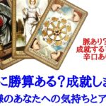 🌹恋愛タロット占い🌹辛口あります❗脈あり？脈なし？この恋に勝算ありますか？成就する可能性は？お相手様の恋愛的モチベーションあなたへの気持ちとアドバイス 片思いから復縁の方まで