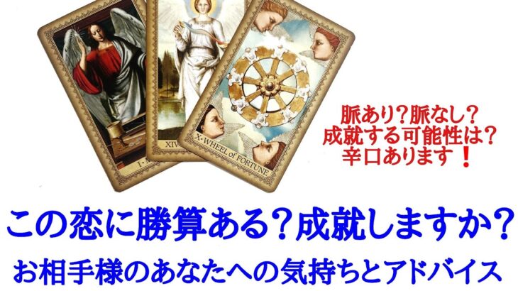 🌹恋愛タロット占い🌹辛口あります❗脈あり？脈なし？この恋に勝算ありますか？成就する可能性は？お相手様の恋愛的モチベーションあなたへの気持ちとアドバイス 片思いから復縁の方まで