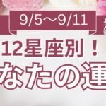 【今週の運勢は？】9/5～9/11 12星座運勢リアルタイム鑑定🌈🐇✨【開運占い師と振り返る1週間】最近あった良いこと、嬉しいこと教えて～！