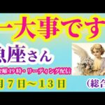 【魚座】2025年9月7日から13日までのみずがめ座の総合運。#魚座 #うお座