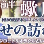 【さそり座】幸せの訪れ🕊️✨本当にしたい事が出来るとき🌿【仕事運/対人運/家庭運/恋愛運/全体運】10月前半 タロット占い