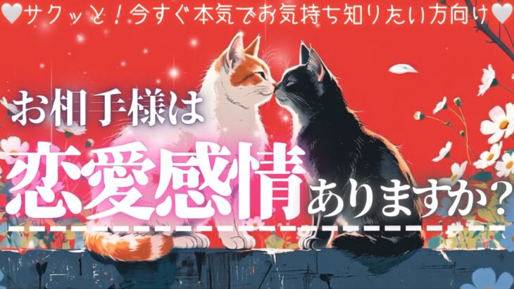 ❤️恋愛感情ある？❤️新シーズンSTART❤️お相手様の気持ち【辛口ありタロット本格有料鑑定級】