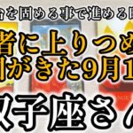 9月10月🌍双子座　サポート人？協力人？チャンスが沢山きたぁぁぁ！！🦐