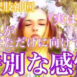 【🦋全選択肢神回💞】『実はね…』あの人があなただけに向けている特別な感情🦋