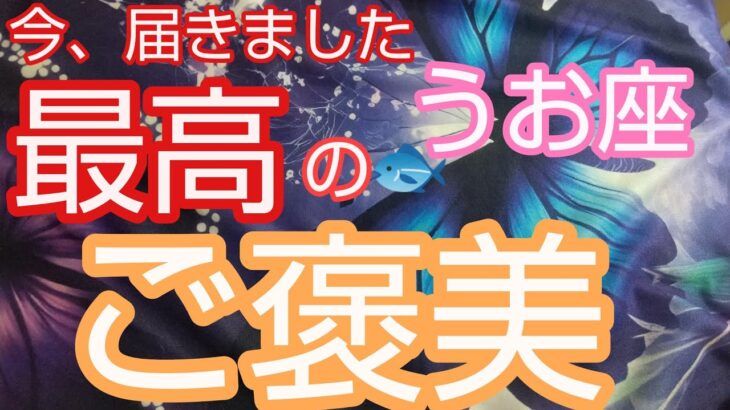 【うお座♓️】最高のご褒美🌈ズバリ金運が潤う‼️満たされる❗️大きな安心‼️#占い #スピリチュアル #金運#人生相談 #オラクルカード #カードリーディング #個人鑑定級#うお座#魚座#開運