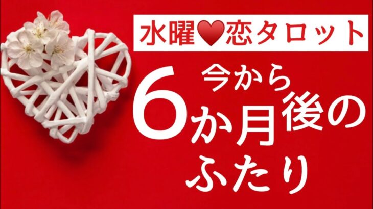 【水曜♥️恋タロット】神回来たーっっ🤩半年後、あの人の気持ちがついに動き出す🪽2121🪽