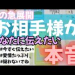 【山羊座】恋のお相手があなたに伝えたい本音▼タロットカード&オラクルカード&ルノルマンカード占い