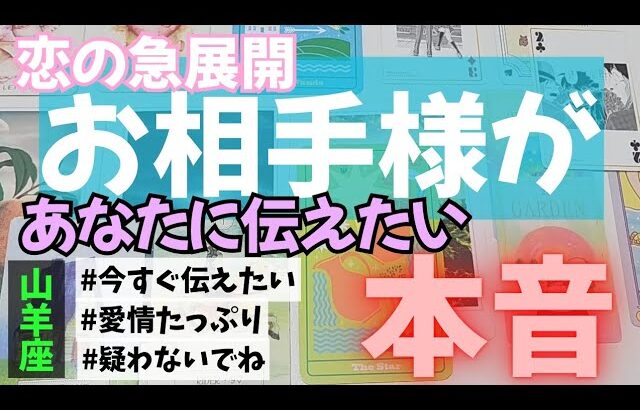 【山羊座】恋のお相手があなたに伝えたい本音▼タロットカード&オラクルカード&ルノルマンカード占い