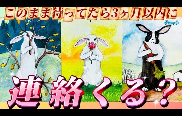 【⚠️激辛回】どうか最後まで見てください🙏連絡くる?Yes or No 忖度なしの深すぎるあの人の本音、私の気持ち、そして2人の未来はどうなる⁉️個人鑑定級✨タロット占い