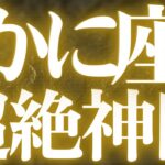 【緊急速報🚨】Cancer♋️蟹座🎃絶対みて⚠️近未来、起きることがハッキリみえました💓