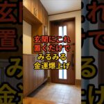 玄関に置くだけで不思議なほど金運爆上げするモノ #風水 #金運 #開運  #shorts