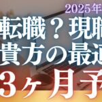 【30分でわかる】【牡牛座専用】転職か？現職か？7枚のタロットカードと心理学から3ヶ月後のあなたの未来を占う！