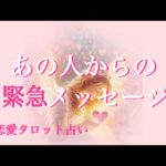 あの人からの緊急メッセージ🩷恋愛タロット占い