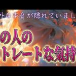【知ってください🩶リアル】片思い複雑恋愛タロットカードリーディング💐個人鑑定級占い🔮🕊️