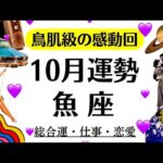 こんな奇跡ある？涙出そう、魚座抱きしめたい。最高の救済と逆転勝利。　　2025年10月全体運勢♓️仕事恋愛不安解消評価や印象【個人鑑定級タロットヒーリング】