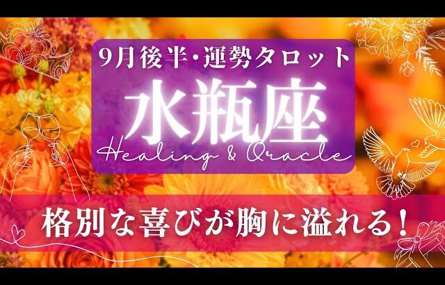【水瓶座】9月後半／運気の切り替わりっぷりがすごい！何かお祝い事の気配も！🌝✨🕊【タロット】【運勢】【占い】【みずがめ座】