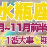 【みずがめ座】10月全体～11月前半運勢　今回本気です…人生で1番大事な期間になります💎✨全ての水瓶座さんに見てほしい…生まれ変わるときがきた【水瓶座 １０月】【水瓶座 １１月】タロットリーディング