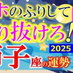 ★忖度なし★白珠イチゴが占う2025年秋分〜冬至の運勢★獅子座★