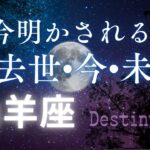 山羊座の過去世•今•未来🔮[霊視リーディング]今世のカルマと訪れる未来✨