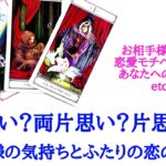 🌹恋愛タロット占い🌹両思い？両片思い？片思い？お相手様の気持ちとふたりの恋の現在地