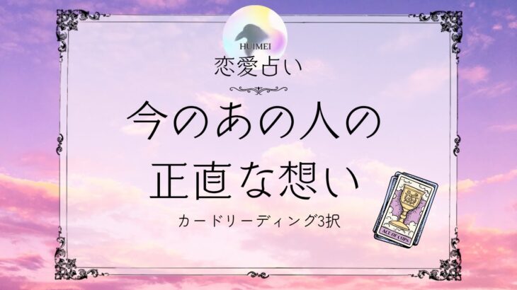 今のあの人の正直な想い🦋恋愛タロット占い【片思い/復縁/複雑】🦋あの人の気持ち・相手の気持ち