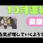 【蠍座】10月の運勢🌈▼タロットカード&オラクルカード&ルノルマンカード占い