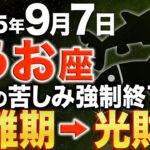 【魚座♓️金運】もう大丈夫✨大どんでん返しが始まります【12星座】
