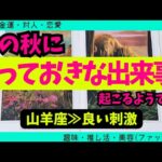 【山羊座】この秋に届くとっておきな出来事🥹✨️🌈▼タロットカード&オラクルカード&ルノルマンカード占い