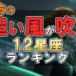 運命の追い風が吹く 12星座ランキング #占い #ランキング #星座占い #スピリチュアル #おすすめ