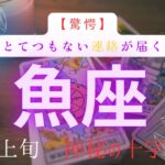 【驚愕🫨】とてつもない連絡が届く　魚座　9月上旬　神秘の十字タロット　#タロットカード#タロット#運勢#9月#恋愛#占い#タロット占い#魚座