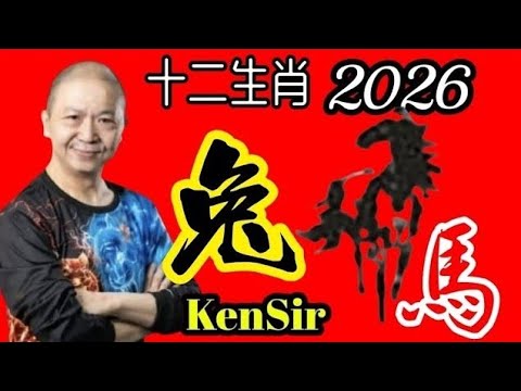 🐰㊙️🦄💖【馬年十二生肖】｜2026年｜生肖兔｜運程｜#電話號碼昇運 #八字 #十二生肖