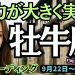 【牡牛座】♉️2025年9月22日の週♉️努力が大きく実る!!そして心にゆとりを取り戻す時。おうし座。タロット占い