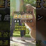 【占い】9/25(木) 今日の運勢｜総合・金運・仕事・恋愛ランキング