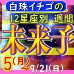 ★忖度なし★2025年9月15日〜9月21日の星座別☆週間未来予報★運気を上げるアドバイスつき★