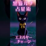 いて座必見！9月14日から1週間の射手座の運勢解説　#いて座の運勢　#いて座　#射手座